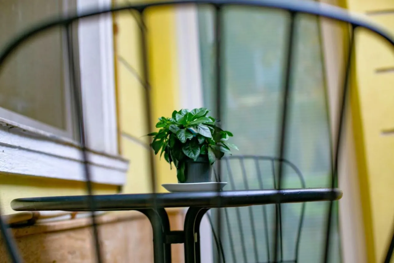 Guest house Calypso Hotel Bucharest
